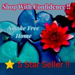 ⭐5 Star Seller My home is smoke free and I go the extra mile for my customers!